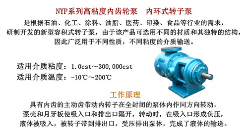 泊东泵业高粘度泵